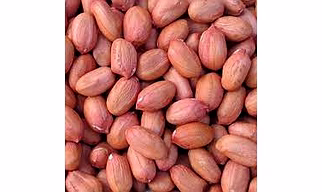 PEANUTS KERNEL