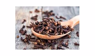CLOVES