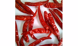 TEJA S 17 DRIED RED CHILLI