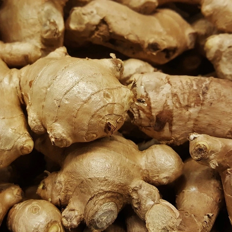 Dried Ginger-Har1051