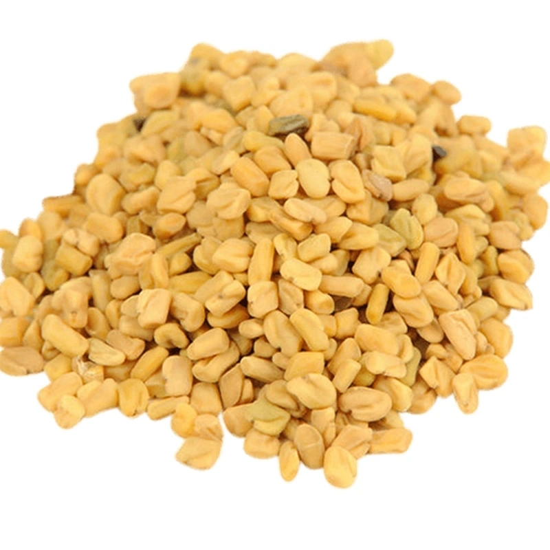 Fenugreek Seed-Har1053