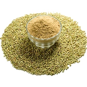 Coriander Seeds