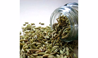 Fennel Seeds