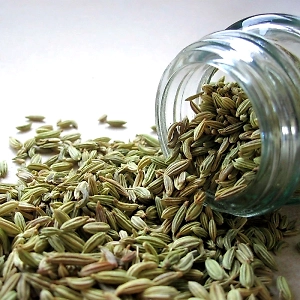 Fennel Seeds