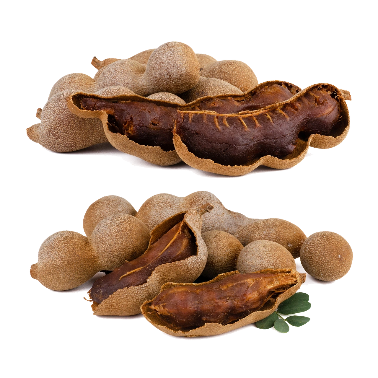 Tamarind Seeds-Har1061