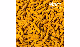 Organic Turmeric Fingers