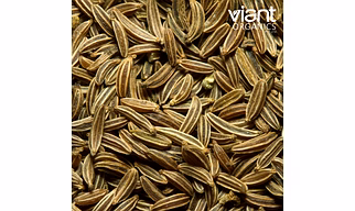 Organic Cumin Seeds