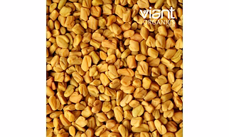 Organic Fenugreek Seeds