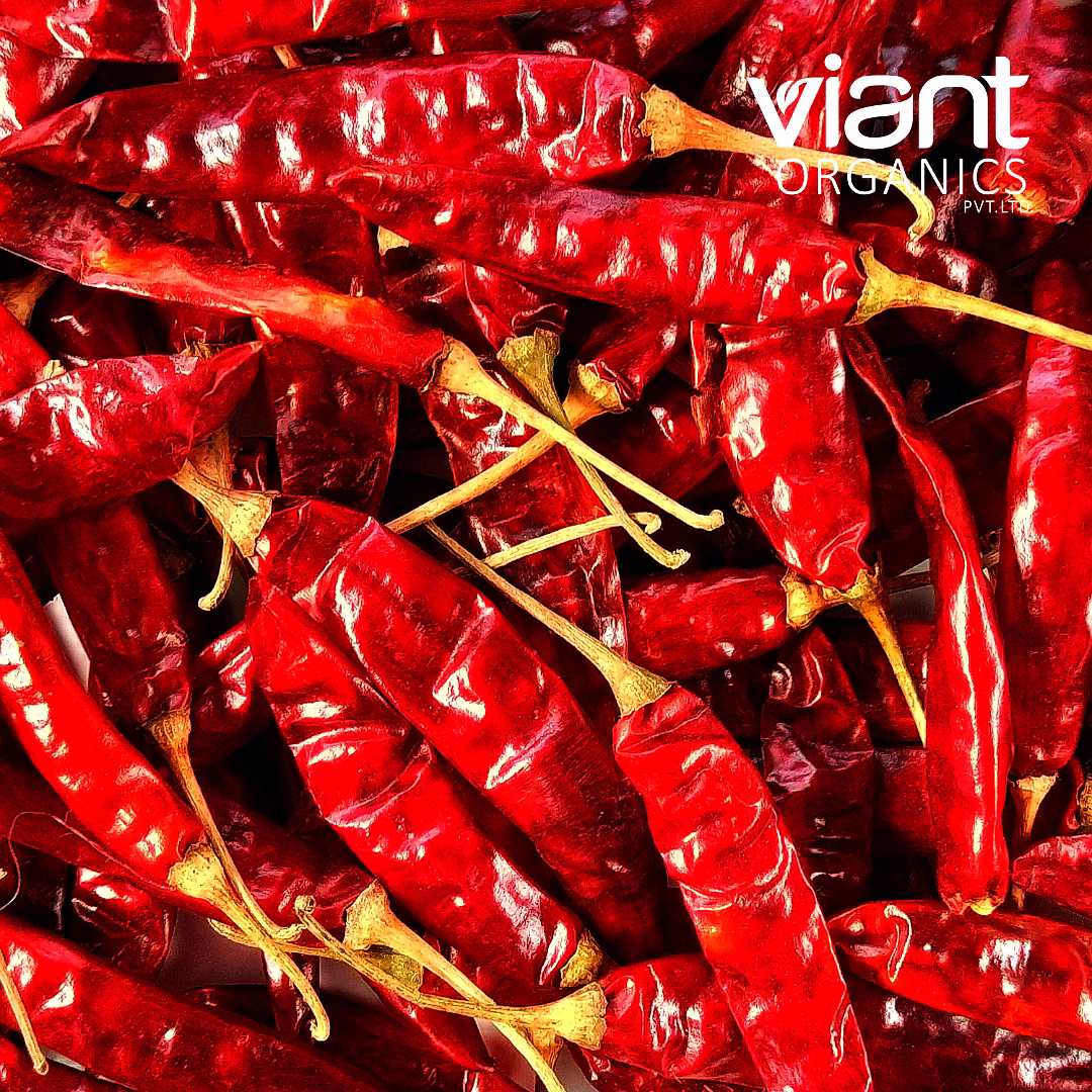 Organic Red Chilly Whole image 1