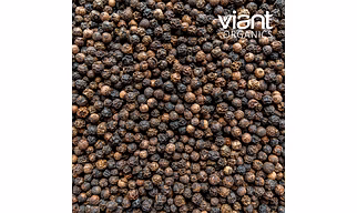 Organic Black Pepper