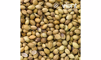 Organic Coriander Whole