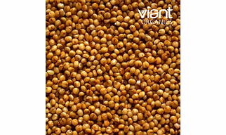 Organic Kodo Millet