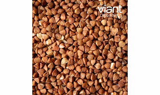 Organic Buckwheat
