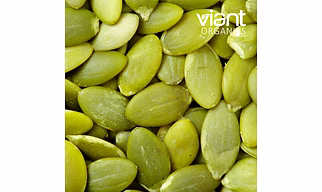 Organic Pumpkin Seeds