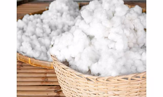indian cotton