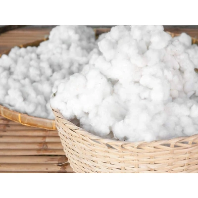 indian cotton