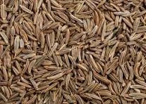 Cumin Seeds / Jeera-1