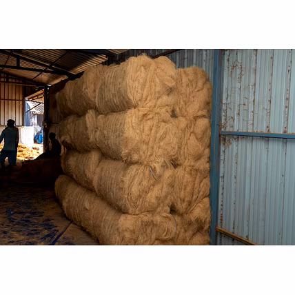 COIR FIBE-12404793