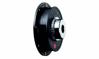 KTR FLANGE COUPLING Bowex-Elastic Series