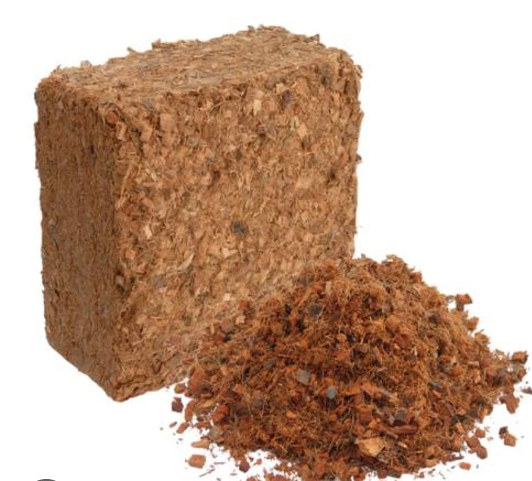 Coco Peat Block- 5 KG-12420362