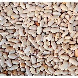 Hetha Himalayan White Rajma