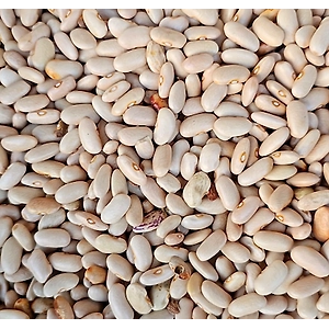 Himalayan White Rajma