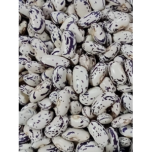 Himalayan Chitkabra Rajma
