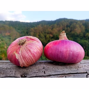 Organic Himalayan Onion / Pahadi Pyaaz