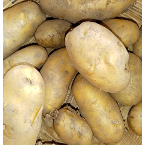 Himalayan Seasonal Potatoes