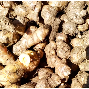Pahadi Ginger / Adrak