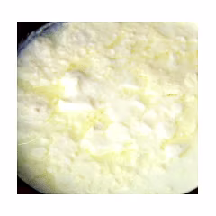 Fresh Jaman (Available in Delhi NCR Only)