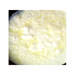 fresh jaman (available in delhi ncr only)