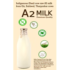 Fresh Raw Cruelty Free Desi Cow A2 Milk (in Delhi NCR only)