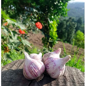 Organic Himalayan Garlic / Pahadi Lehsun