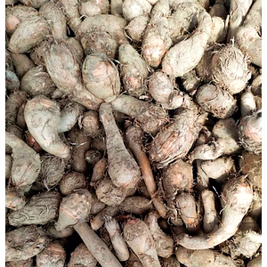 Organic / Taro root (Available only in Delhi NCR)