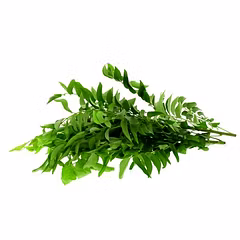 Curry Leaves / Kadi patta