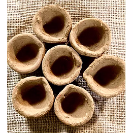 ecofriendly gomay diyas