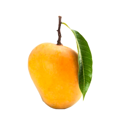 Alphanso Mango-1