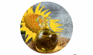 Sunflower Oil