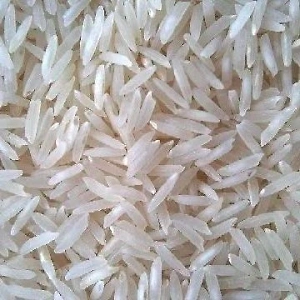 Pr 11 Creamy Sella