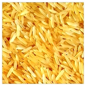 Pr11 Golden Sella