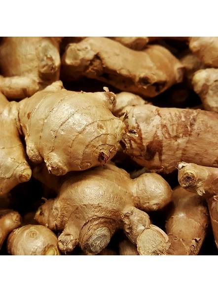 Dried Ginger