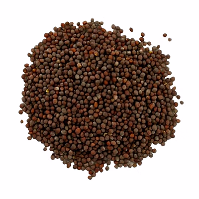 mustard seed