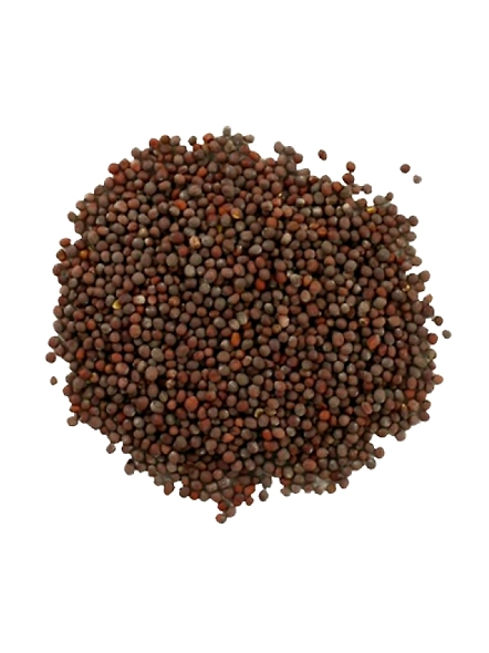 Mustard Seed