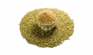 Coriander Seeds
