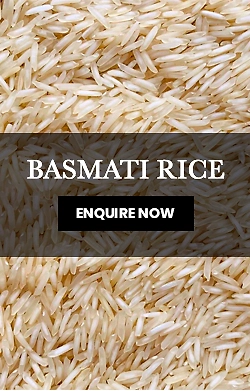 category_05_banner