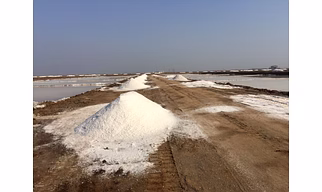 SALT