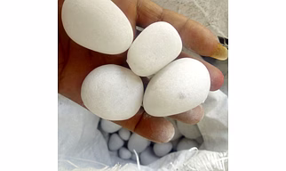 PEBBLES