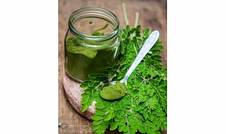 Moringa powder
