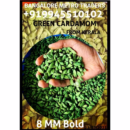 GREEN CARDAMOM-12412599